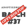 Adoptie Batch #37